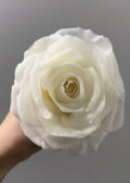 The Petal Candle | Hand-Sculpted in 100% Natural Beeswax